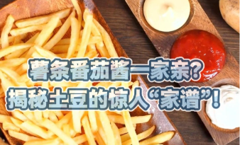 土豆的妈妈居然是番茄