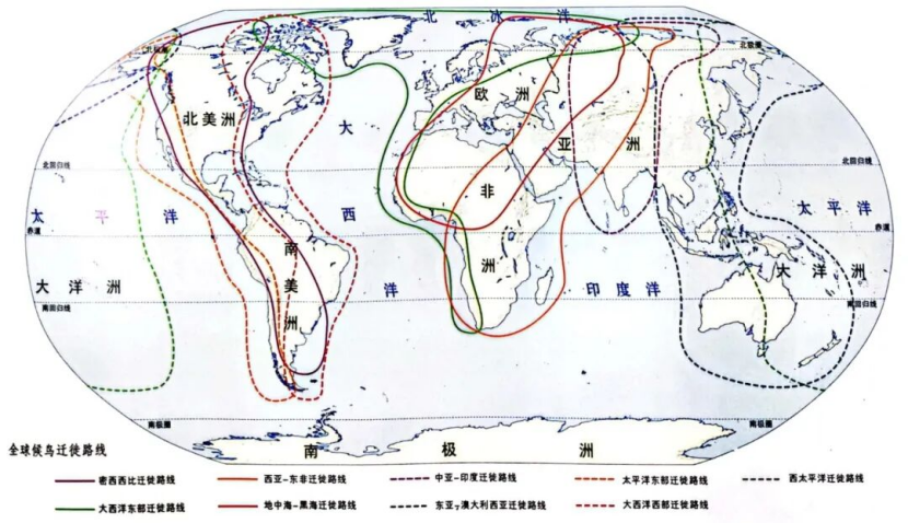 1963198996575539202